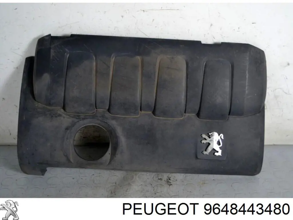 Compre 9648443480 Peugeot/Citroen 