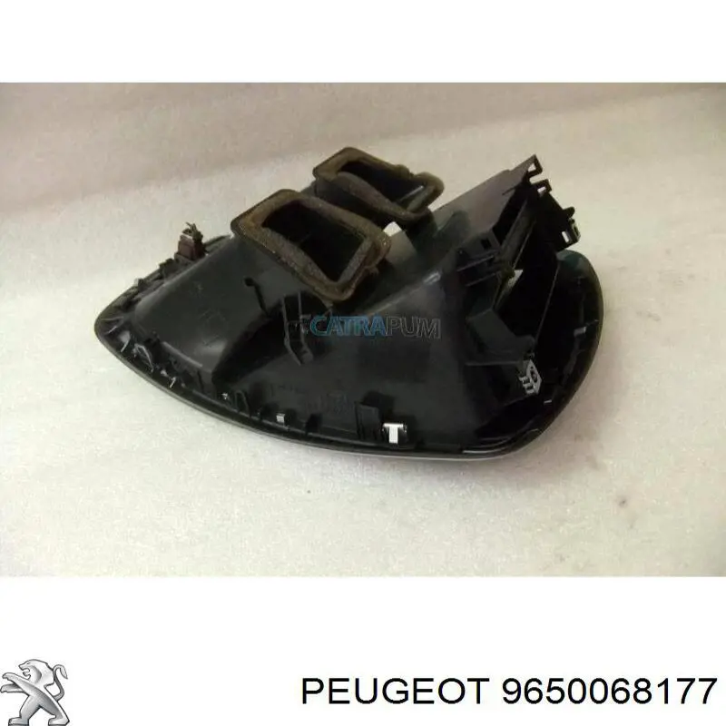  9650068177 Peugeot/Citroen