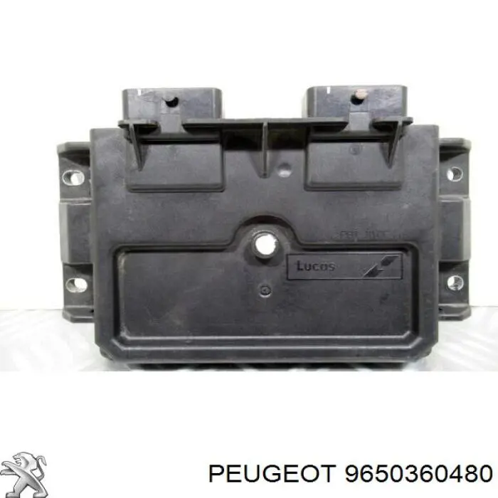9650360480 Peugeot/Citroen 