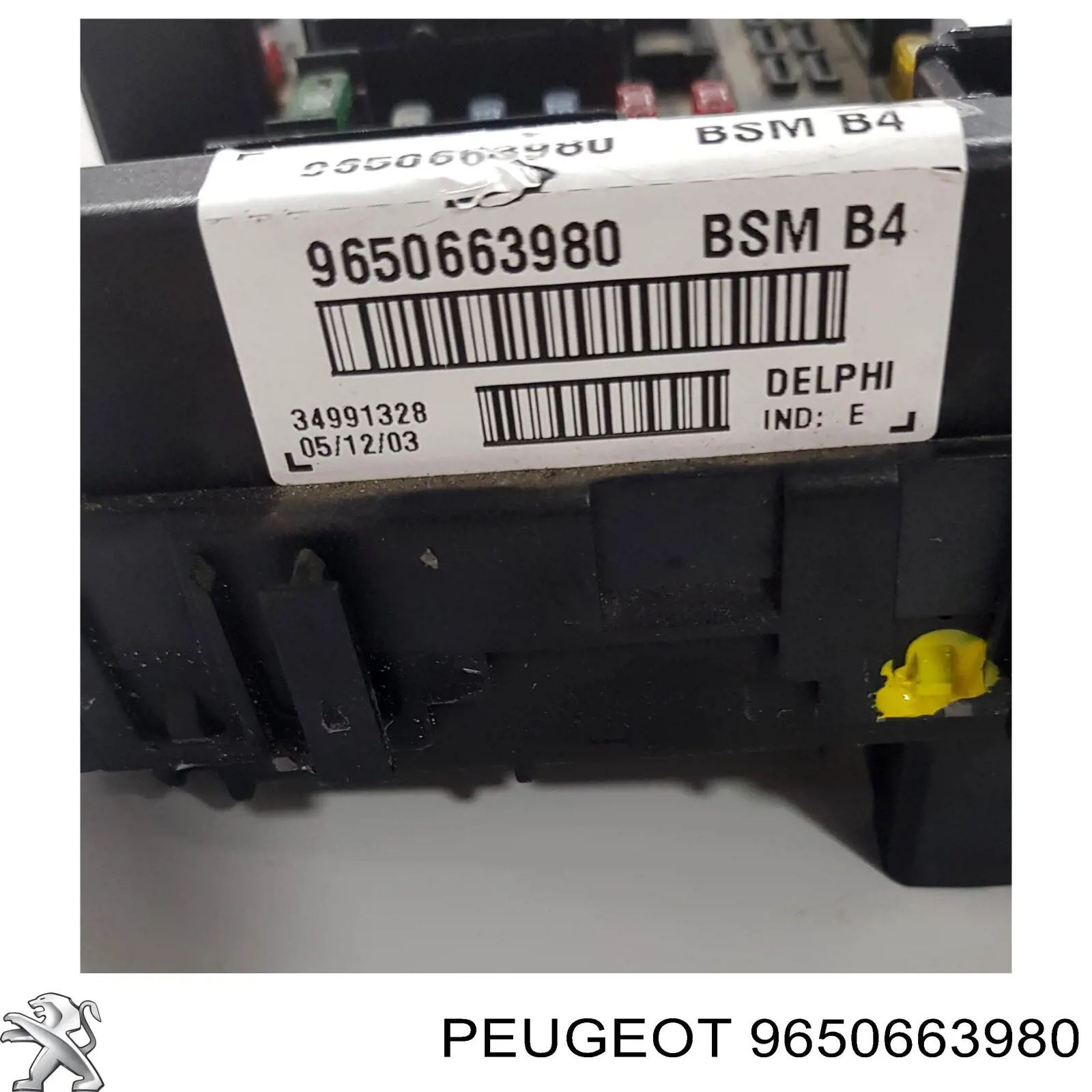  Peugeot/Citroen 9650663980