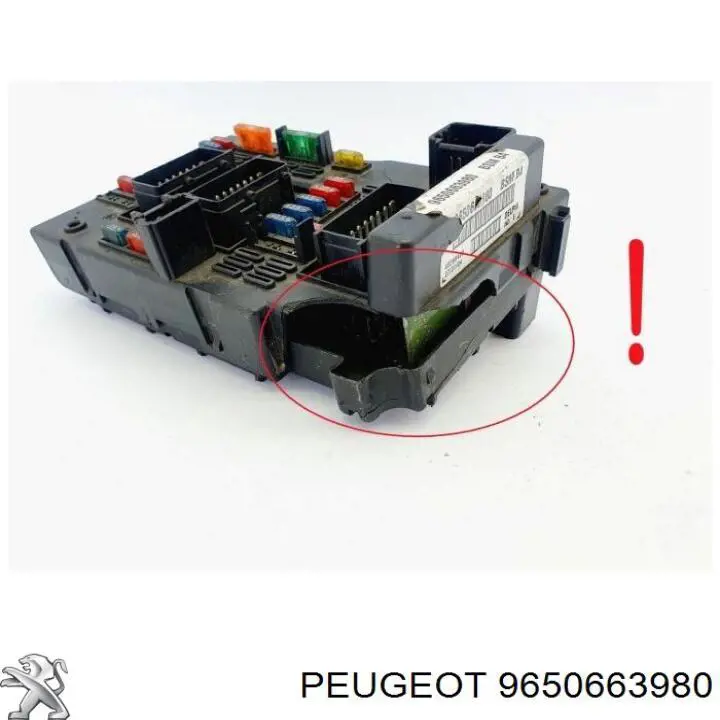 9650663980 Peugeot/Citroen 