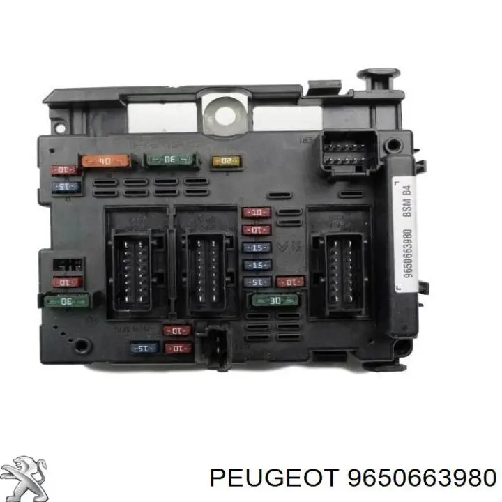  9650663980 Peugeot/Citroen