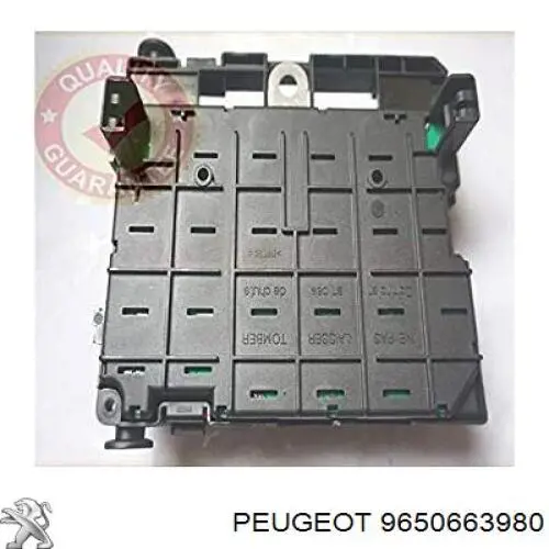 Compre 9650663980 Peugeot/Citroen 