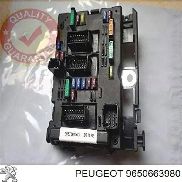  Peugeot/Citroen 9650663980 preço, a partir de 71,63 USD