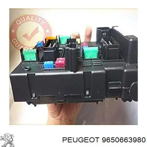 Compre 9650663980 Peugeot/Citroen 