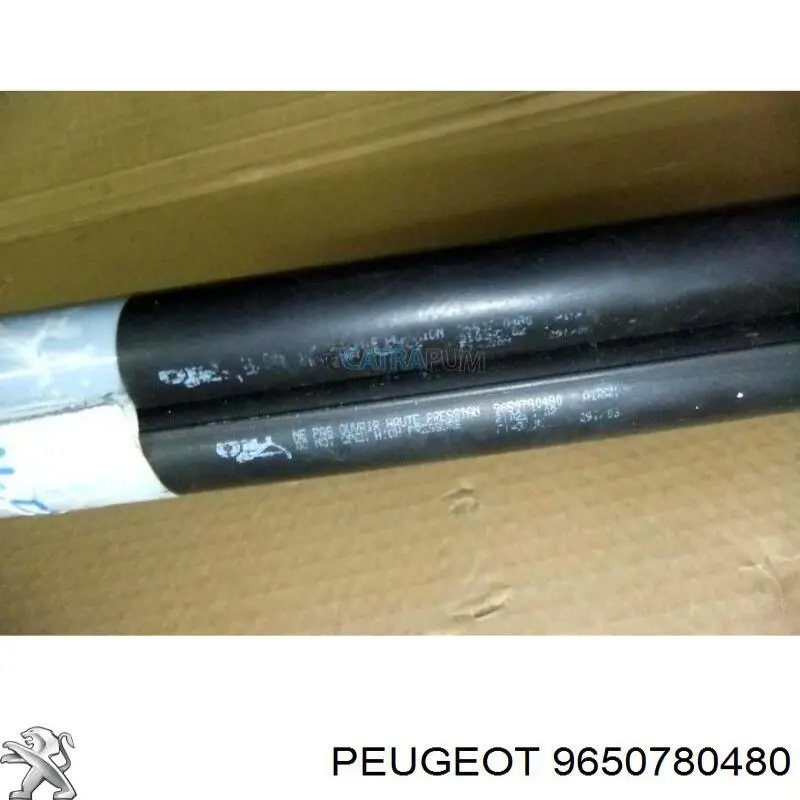  Peugeot/Citroen 9650780480
