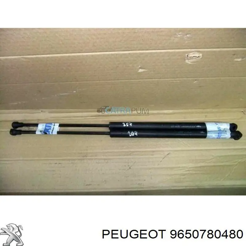 9650780480 Peugeot/Citroen 
