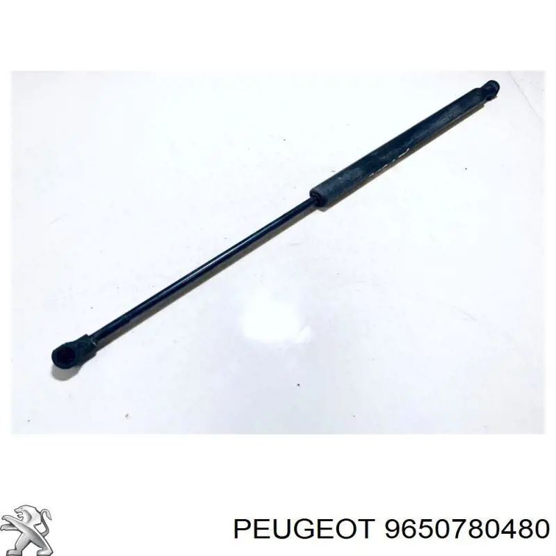  9650780480 Peugeot/Citroen