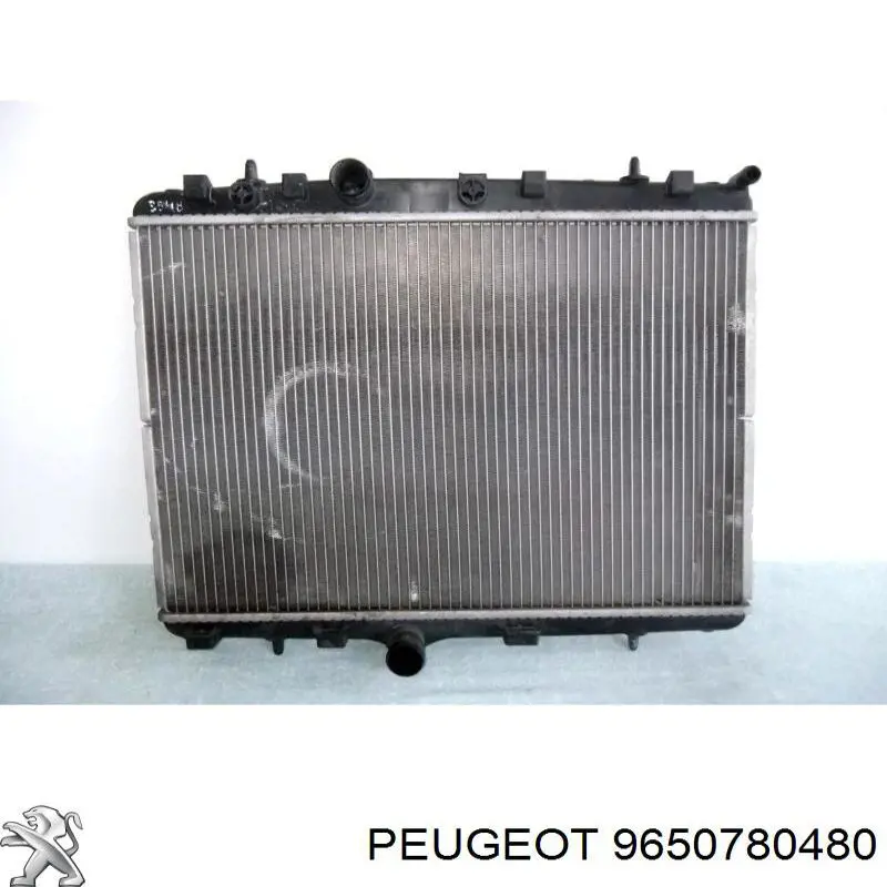 9650780480 Peugeot/Citroen 