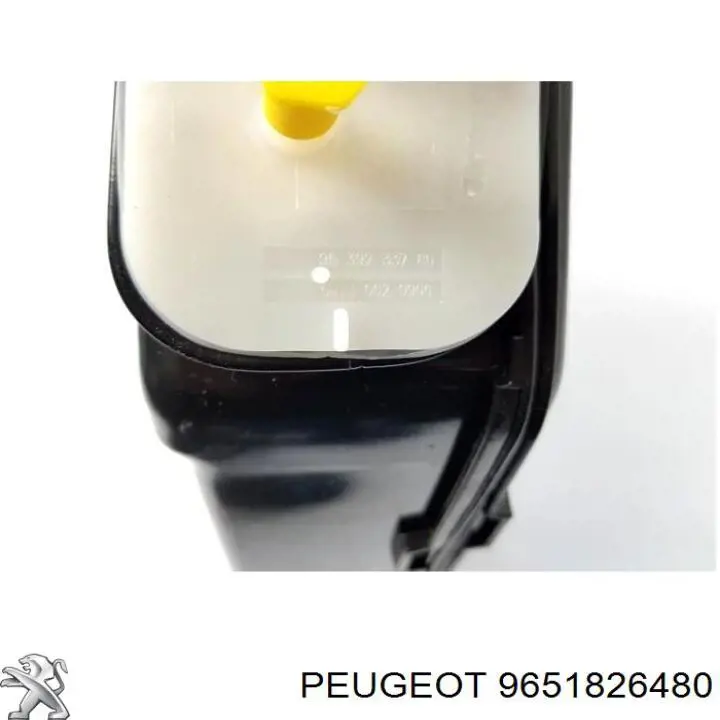  9651826480 Peugeot/Citroen