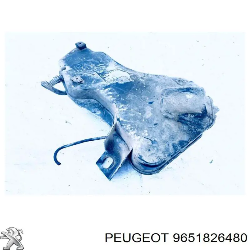 9651826480 Peugeot/Citroen 