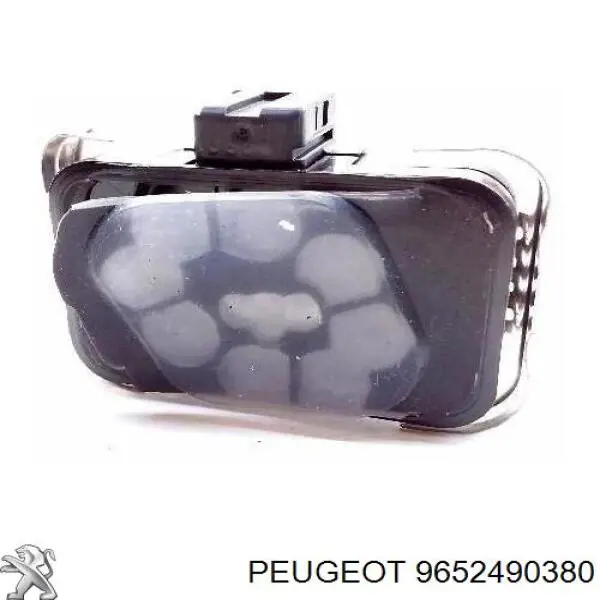 9652490380 Peugeot/Citroen 