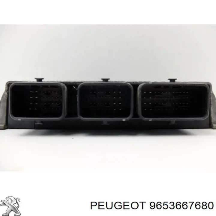 9653667680 Peugeot/Citroen 