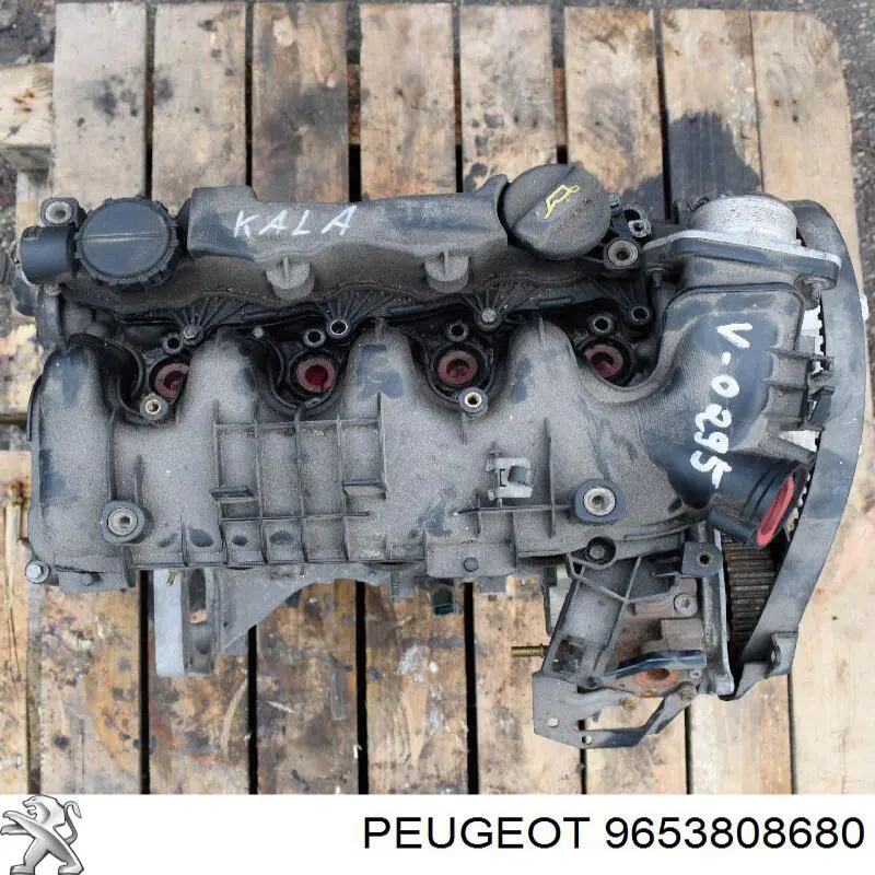 9653808680 Peugeot/Citroen Tubo coletor esquerdo de admissão