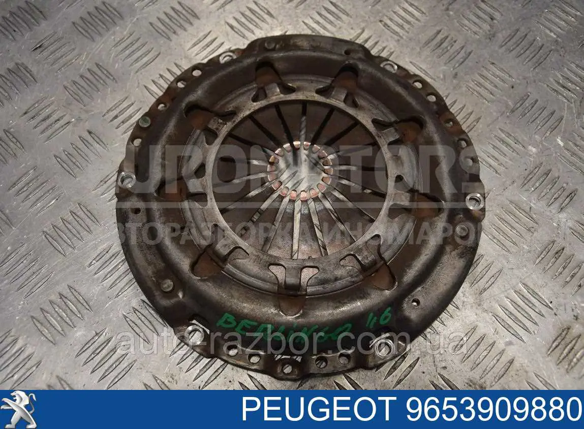 9653909880 Peugeot/Citroen Cesta de embraiagem