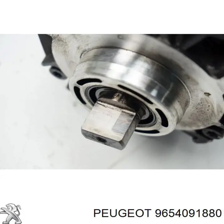 9654091880 Peugeot/Citroen 