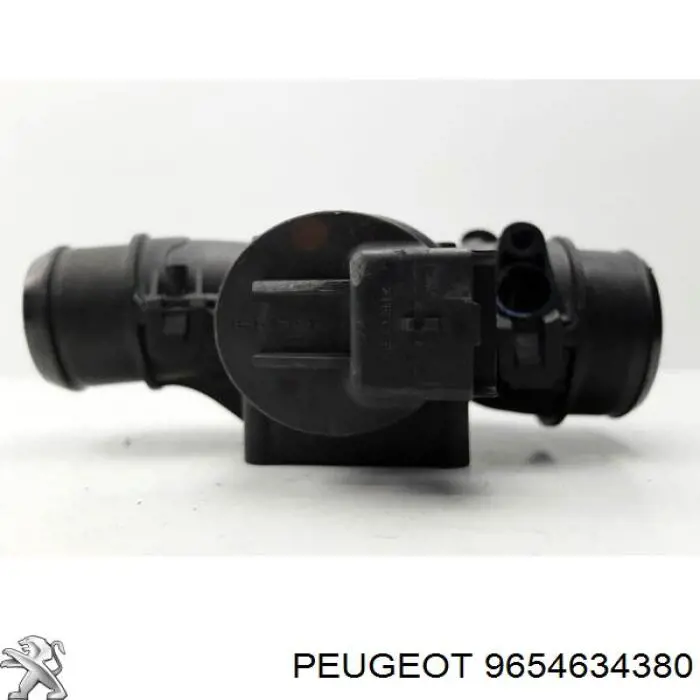 Delphi 9660030480