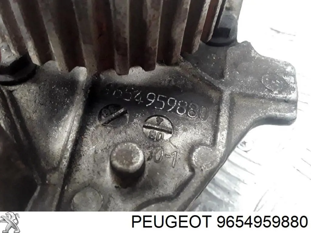  9654959880 Peugeot/Citroen