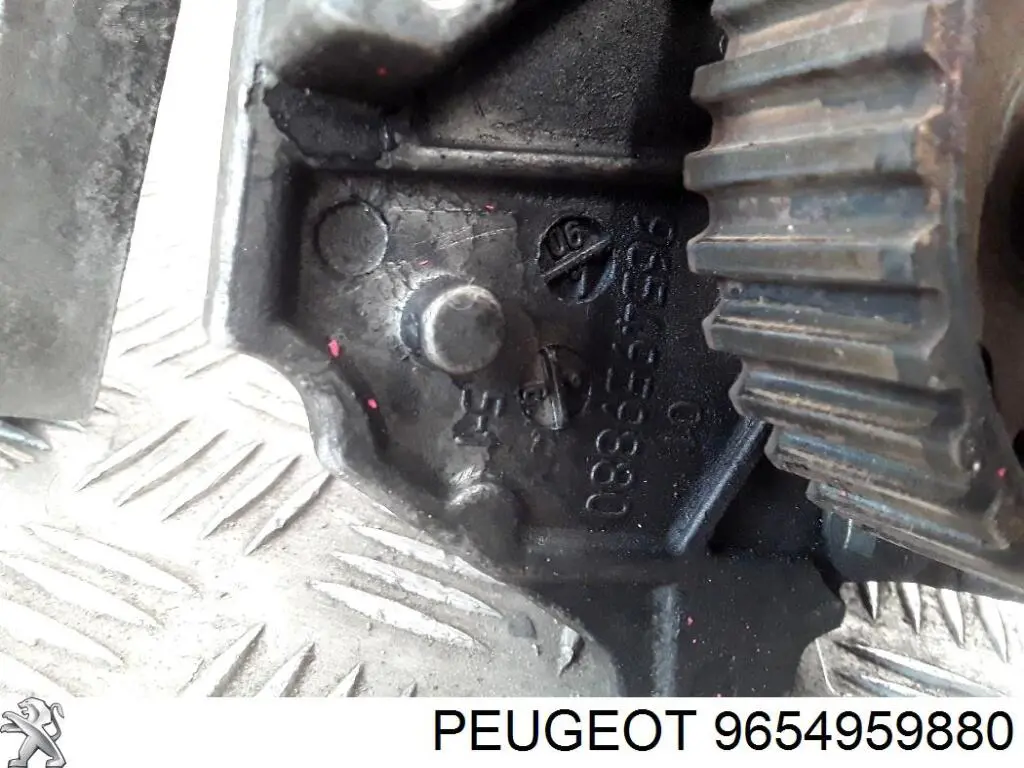 9654959880 Peugeot/Citroen 