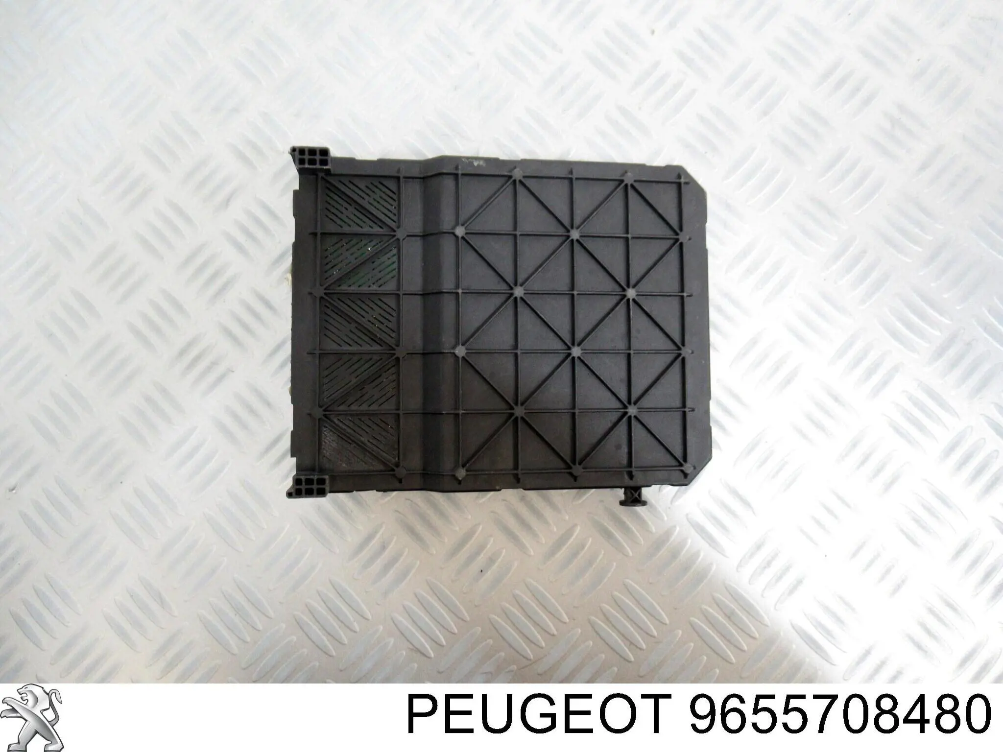  Peugeot/Citroen 9655708480