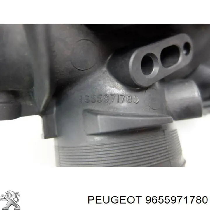 9655971780 Peugeot/Citroen 