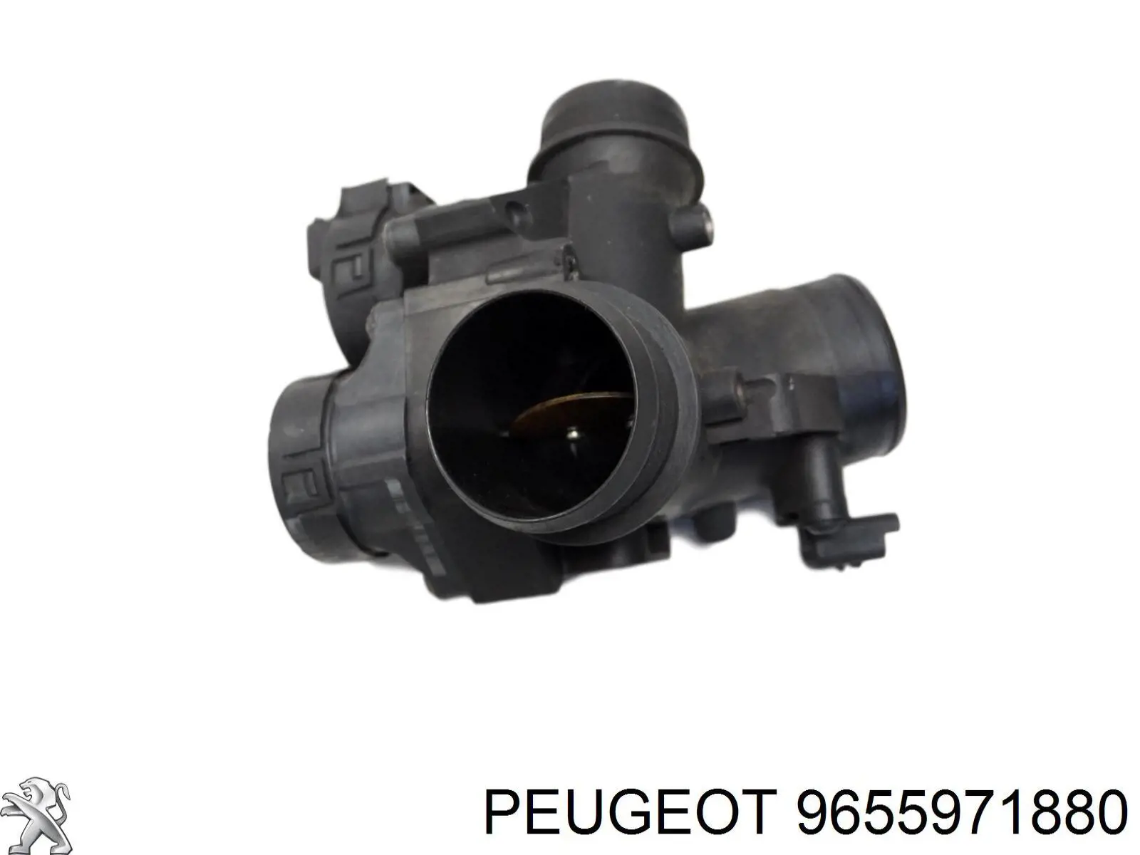  Peugeot/Citroen 9655971880