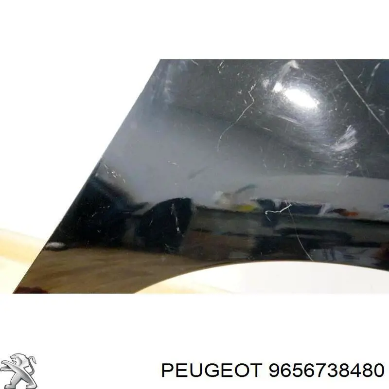Compre 9656738480 Peugeot/Citroen Pára-lama dianteiro direito