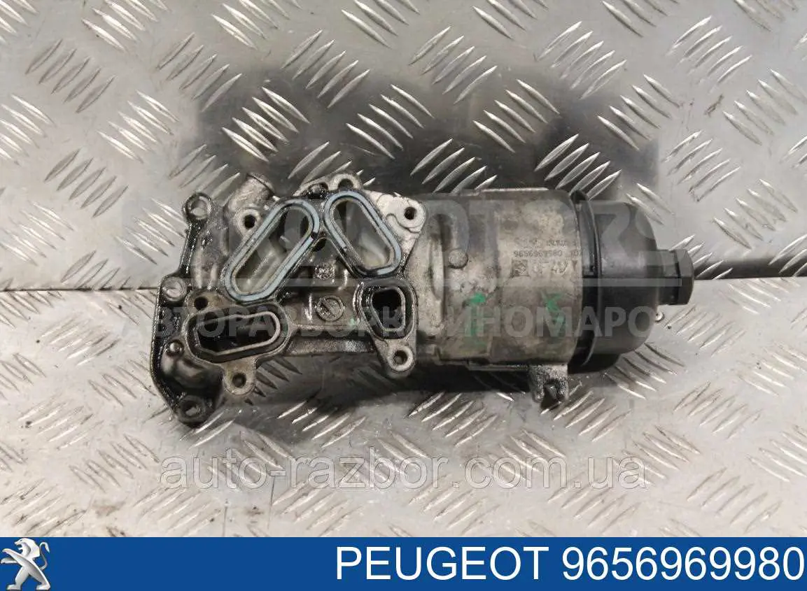 Compre 9656969980 Peugeot/Citroen 