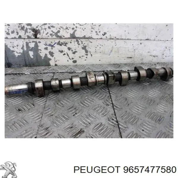 Engrenagem de cadeia da roda dentada da árvore distribuidora de motor Peugeot/Citroen 9657477580 preço, a partir de 32,35 USD