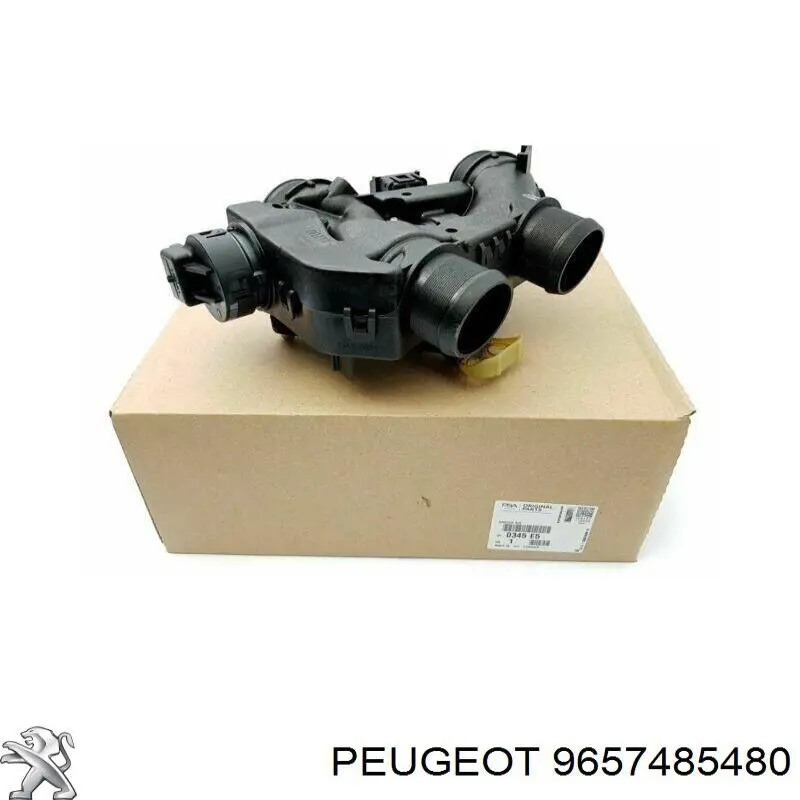 9657485480 Peugeot/Citroen Válvula de borboleta montada