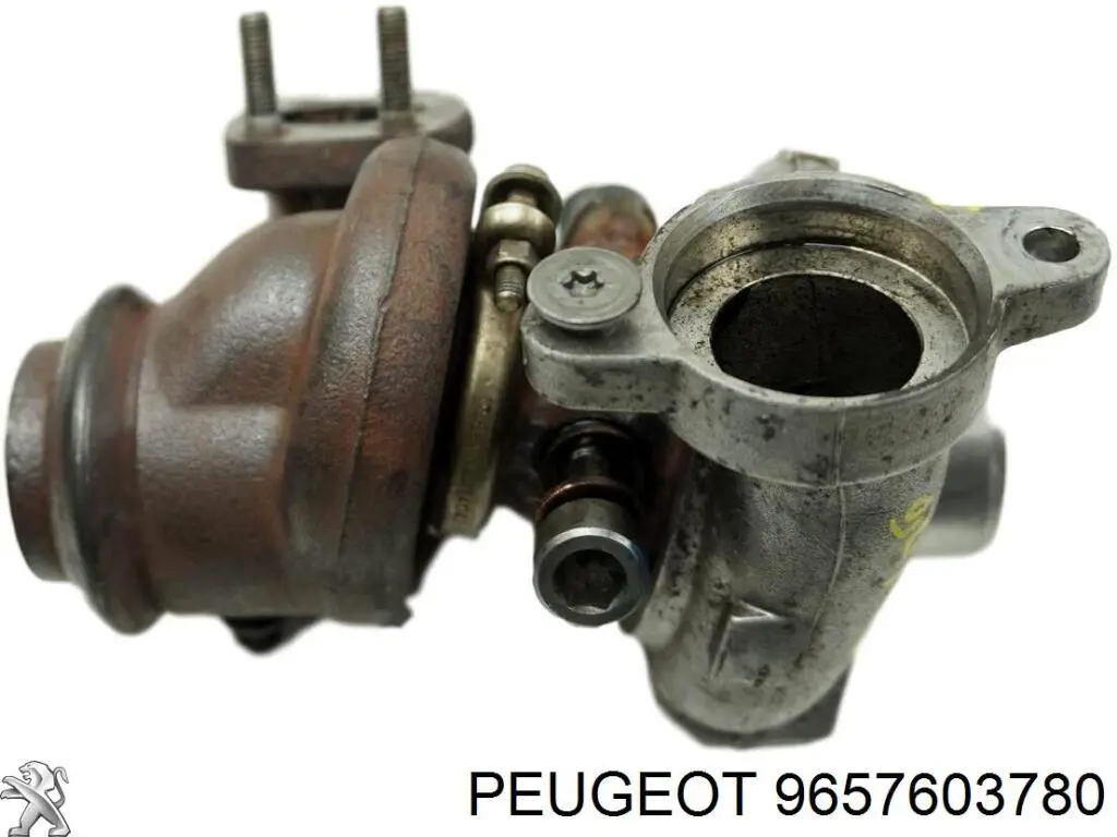 9657603780 Peugeot/Citroen Turbina