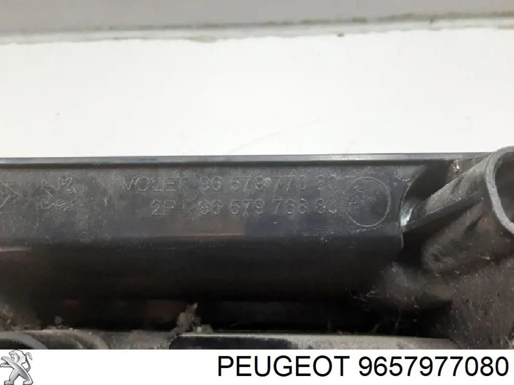 Compre 9657977080 Peugeot/Citroen Lanterna traseira esquerda