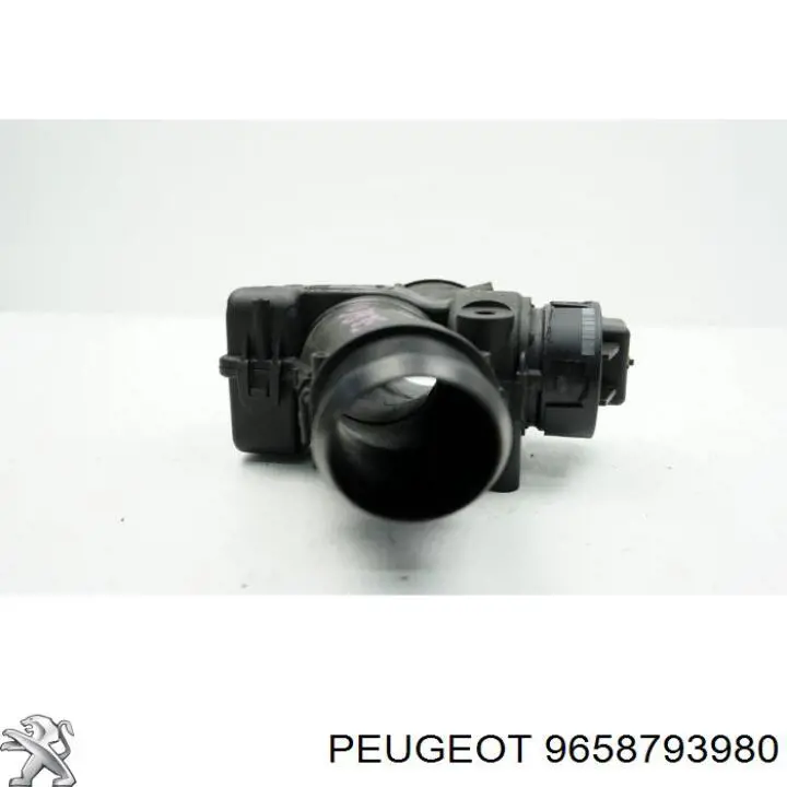 9660030480 Delphi Válvula de borboleta montada