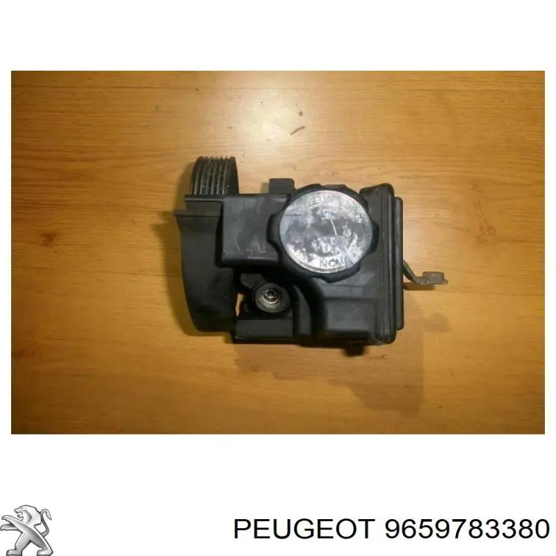 9659783380 Peugeot/Citroen Bomba da Direção hidrâulica assistida