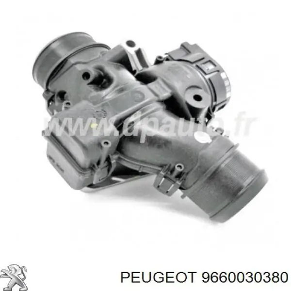 9660030380 Peugeot/Citroen Válvula de borboleta montada