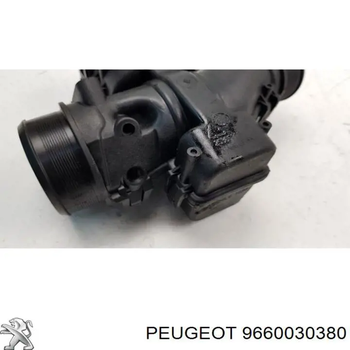 9660030380 Peugeot/Citroen Válvula de borboleta montada
