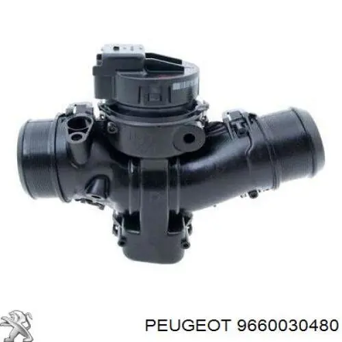 9660030480 Peugeot/Citroen Válvula de borboleta montada