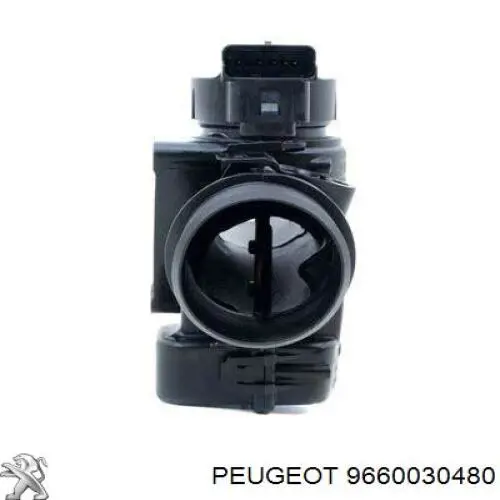 Compre 9660030480 Peugeot/Citroen Válvula de borboleta montada