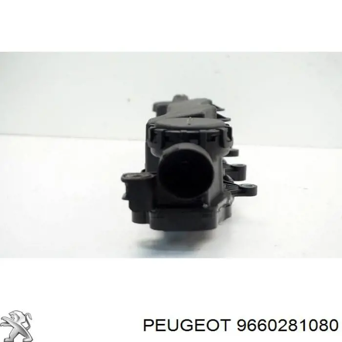 9660281080 Peugeot/Citroen Tampa de válvulas