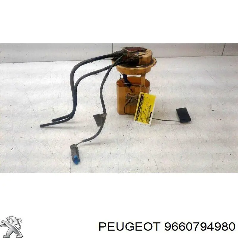 9660794980 Peugeot/Citroen 