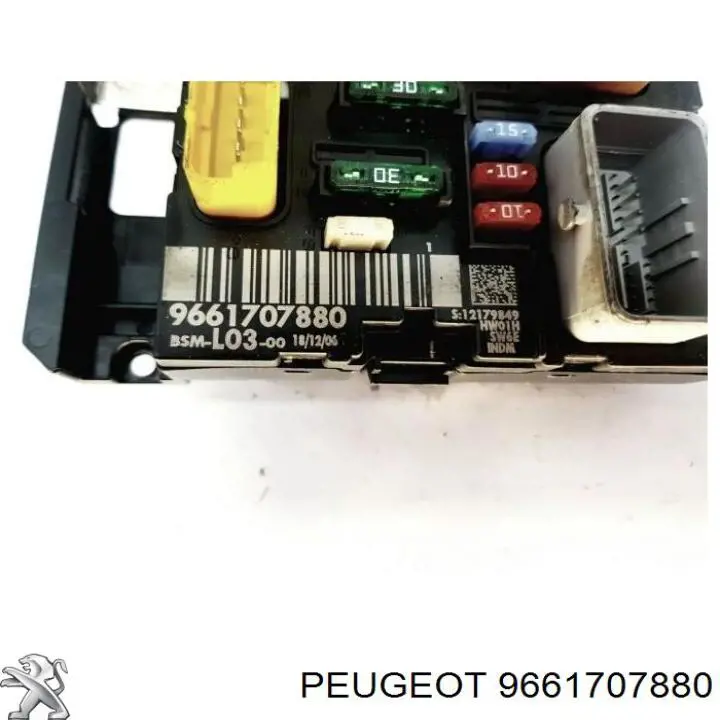  Peugeot/Citroen 9661707880