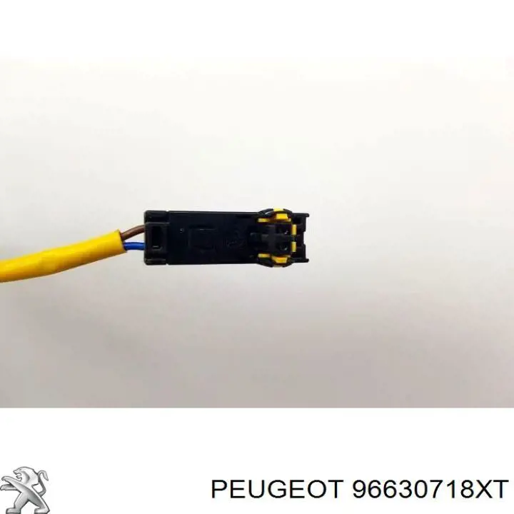  96630718XT Peugeot/Citroen