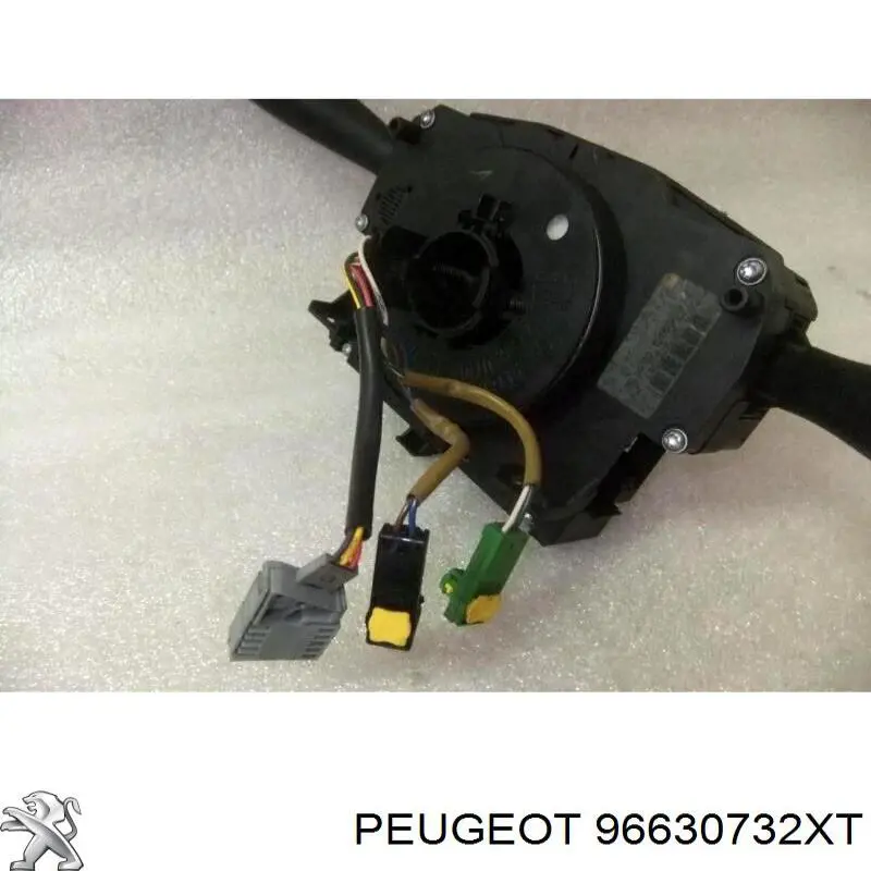 COM2005 Peugeot/Citroen 