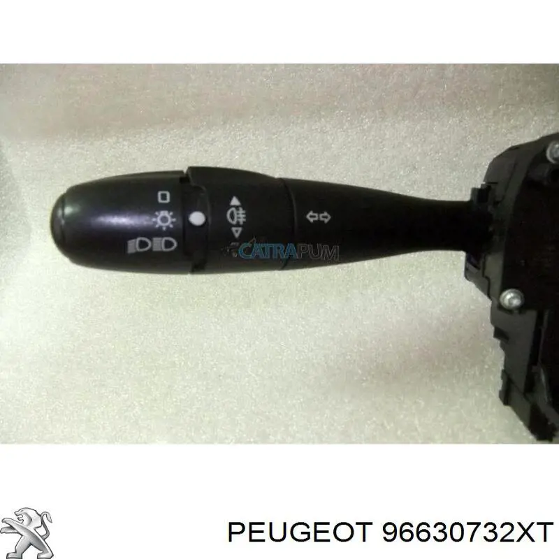 COM2005 Peugeot/Citroen 