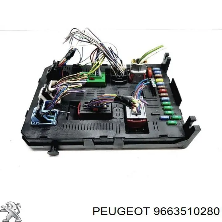 9663510280 Peugeot/Citroen 