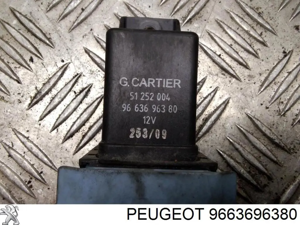 Compre 9663696380 Peugeot/Citroen 