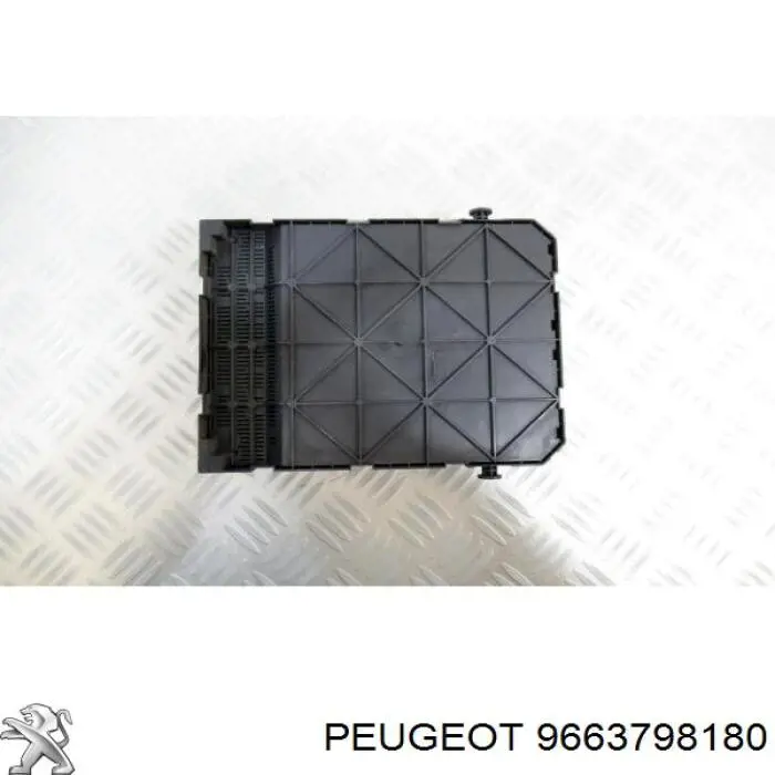 Compre 9663798180 Peugeot/Citroen 