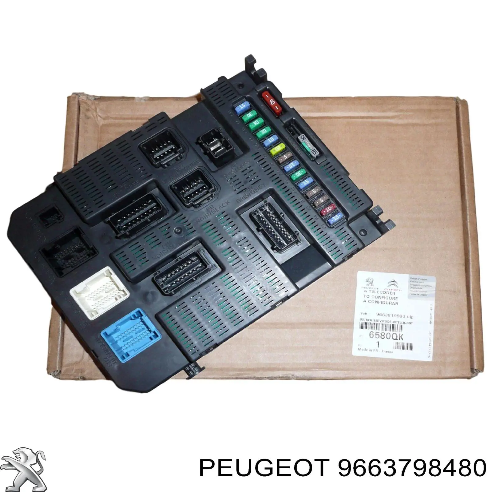 9663798480 Peugeot/Citroen 