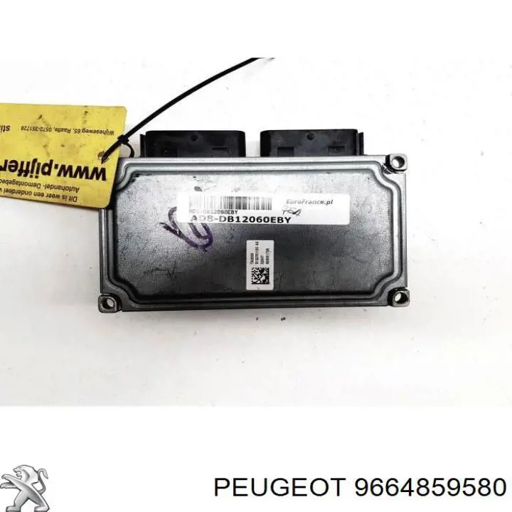 9664859580 Peugeot/Citroen 