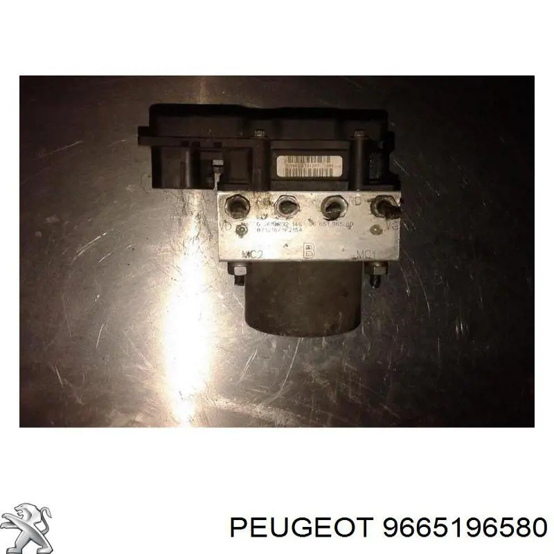  0265800738 Peugeot/Citroen